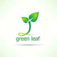 kreativ logotyp grön blad vektor