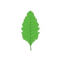grön träd blad vektor illustration isolerat på transparent bakgrund