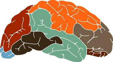 färgrik illustration av mänsklig hjärna. vektor