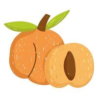 hälsosam mat färsk persika ikon isolerad stil vektor