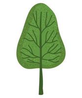 träd grönska natur växt isolerad stil vektor