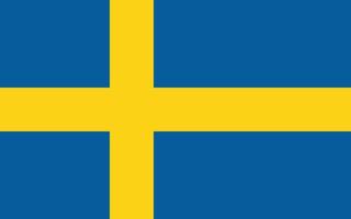 Schweden offiziell Flagge vektor