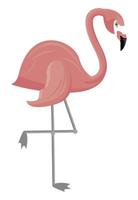 tropischer Flamingovogel vektor