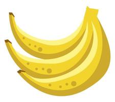 banan färsk frukt vektor