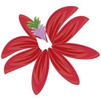rote tropische Blume vektor