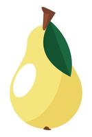 päron färsk frukt vektor