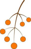 Orange Beere Ast Symbol im eben Stil. vektor