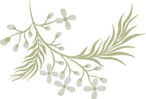 Blumen- Ast mit Weiß Blumen und Blätter. Hand gezeichnet Vektor Illustration.