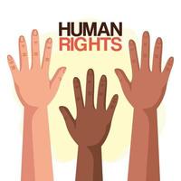 Menschenrechte mit Vielfalt Hände hoch Vektordesign vektor
