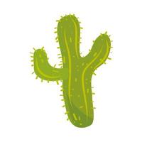 kaktus scculent växt vektor
