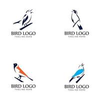 fågel logotyp vektor ikon formgivningsmall