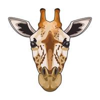 Wildkopfcharakter des Giraffentieres im weißen Hintergrund vektor