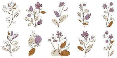 Jahrgang Blumen- Hand gezeichnet botanisch Blume Vektor einstellen Sammlung bündeln