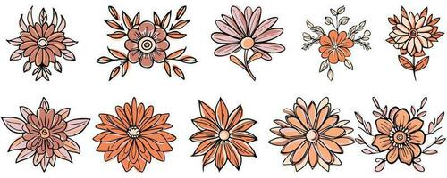 Jahrgang Blumen- Hand gezeichnet botanisch Blume Vektor einstellen Sammlung bündeln