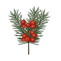 Frohe frohe Weihnachten Tannenblätter Baum mit Bohnen vektor