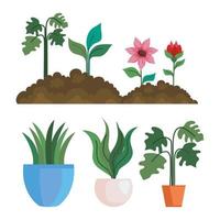 Gartenblumen auf der Erde und Pflanzen im Topfvektorentwurf vektor