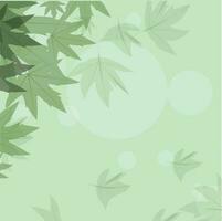 abstrakt Grün Ahorn Blätter auf Hintergrund. vektor