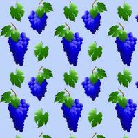 nahtlos Muster Blau Traube Bündel mit Beeren und Blätter. zum Natur oder gesund Vitamin Essen Design. Vektor Illustration