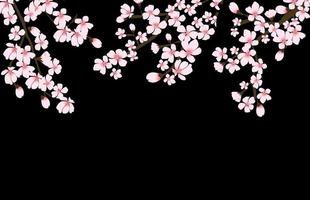 abstrakte florale Sakura-Blume japanische natürliche Hintergrundvektorillustration vektor