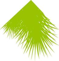 Grün Tanne Baum Blätter Design. vektor