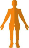 karaktär av en orange ansiktslös manlig kropp strukturera. vektor