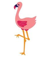 Karikatur Flamingo-Ikone Dschungel wilder Vogel niedliche Flamingo-Vektor-Illustration auf einem weißen Hintergrund vektor