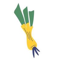 Lauchgrüner Lauchstamm mit Blättern ganze Lauchwurzel gesunde Gemüsesalatzutat Zwiebelikone Vektorillustration Hand gezeichnete Gekritzelart vektor