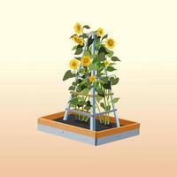 Hausgarten Sonnenblumen vektor