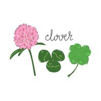 handritad klöverblomma shamrock modern platt illustration vektor