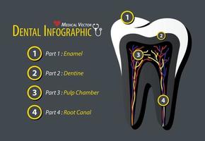 dental infographic platt design vektor