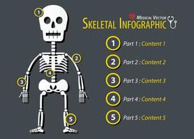 Skelett Infografik flaches Design vektor