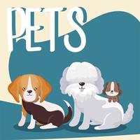 Haustiere Schriftzug und Hunde Welpen Haustiere vektor
