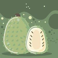 Soursop frisches Obst Bio gesunde Lebensmittel vektor