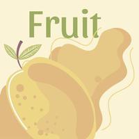 Mango frische Früchte Bio gesunde Lebensmittel vektor