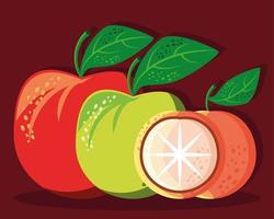 mat färsk frukt vektor