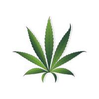enkel ikon av cannabisblad silhuett sativa marijuana vektor