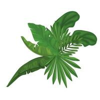 grön tropisk löv. vektor