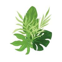 Grün tropisch Blätter. vektor