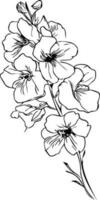 enkel miimilis riddarsporre blomma tatuering teckning, konstnärlig ritad för hand penna skiss färg sida med blomma larskapur grenar stickl av blad naturlig blommig samling, små tatto med riddarsporre. vektor