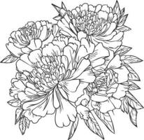 pion blomma linje konst, vektor illustration, ritad för hand penna skiss, färg bok, och sida, isolerat på vit bakgrund klämma konst. pion blomma teckning, realistisk pion blomma översikt teckning.
