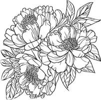pion blomma linje konst, vektor illustration, ritad för hand penna skiss, färg bok, och sida, isolerat på vit bakgrund klämma konst. pion blomma teckning, realistisk pion blomma översikt teckning.