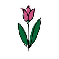 Vektor Karikatur Zeichnung von ein Blume. Tulpe Gekritzel mit farbig Flecken auf ein Weiß hintergrund.eps