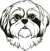 wenig shih tzu Hund Silhouette, komisch wenig Hündchen vektor