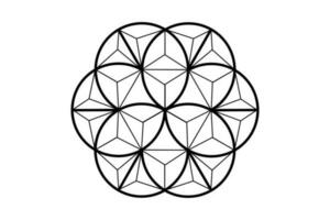 3d Blume von Leben, heilig Geometrie. Lotus Blume. Mandala Ornament im polygonal Draht rahmen, esoterisch oder spirituell Symbol. Logo tätowieren isoliert auf Weiß Hintergrund, Vektor Illustration