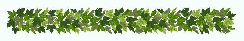 Efeu Girlande, Grün Kriechpflanze dekorativ Rand isoliert auf Weiß Hintergrund. Vektor Illustration im eben Karikatur Stil