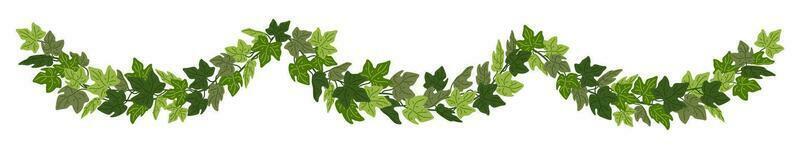 Efeu Girlande, Grün Kriechpflanze dekorativ Rand isoliert auf Weiß Hintergrund. Vektor Illustration im eben Karikatur Stil