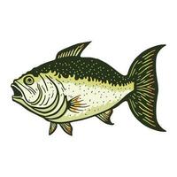 enkel bas fisk vektor illustration
