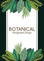 tropische Blätter im quadratischen Rahmen und im botanischen Hintergrunddesign der Beschriftung vektor