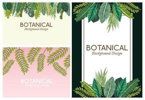 tropiska blad i ramar och bokstäver botaniska bakgrundsdesigner vektor