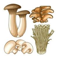 Verbrauchsmaterial Pilz Sammlungen vektor